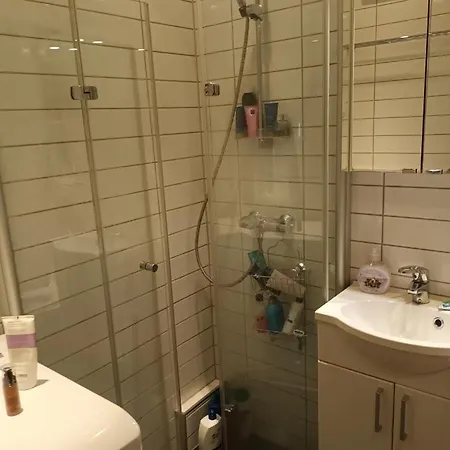 Great Close To Royal Castle * Oslo